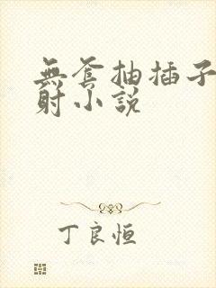 无套抽插子宫内射小说