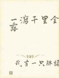 一泻千里金银花露