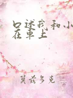 口述我和小娻孑在车上