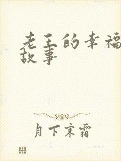 老王的幸福生活故事