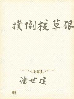 扑倒校草狠狠亲