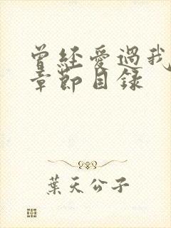 曾经爱过我刘念章节目录