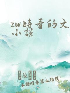 zw时看的文案小说