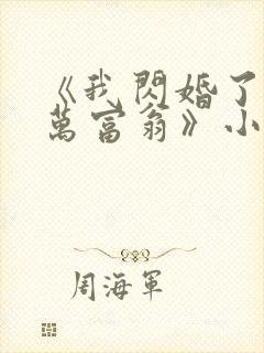 《我闪婚了个亿万富翁》小说