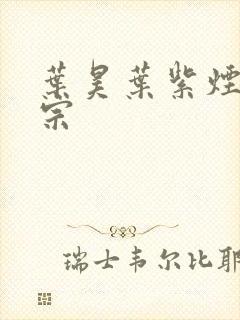 叶昊叶紫烟老祖宗