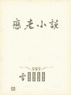 恋老小说