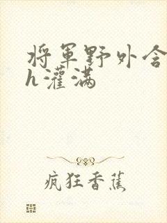 将军野外含公主h灌满