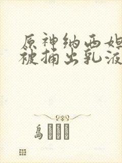 原神纳西妲身体被捅出乳液