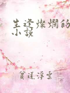 生逢灿烂的日子小说