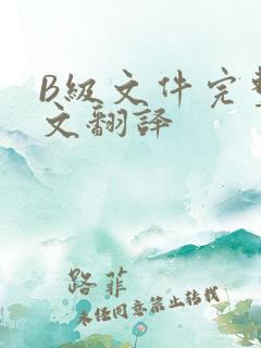 B级文件完整中文翻译