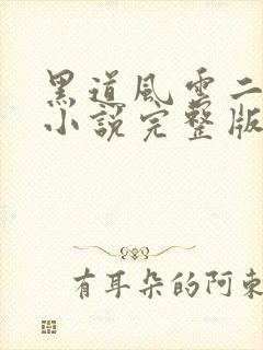 黑道风云二十年小说完整版