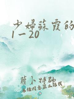 少妇苏霞的沉沦1一20