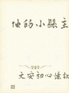 他的小县主