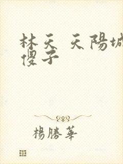 林天 天阳城 傻子