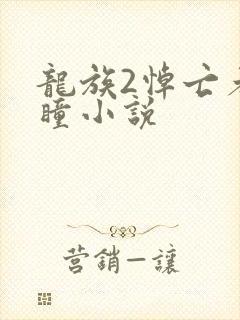 龙族2悼亡者之瞳小说
