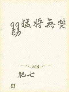 qq猛将无双辅助