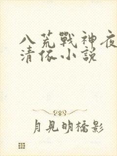 八荒战神夜麟云清依小说