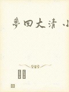 梦回大清 小说