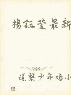 杨钰莹最新小说