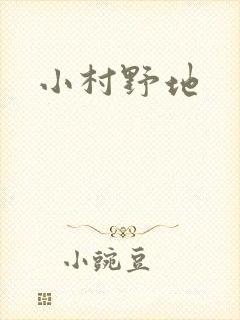 小村野地