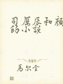 司厉辰和颜辞兮的小说