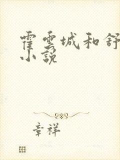 霍云城和舒情的小说