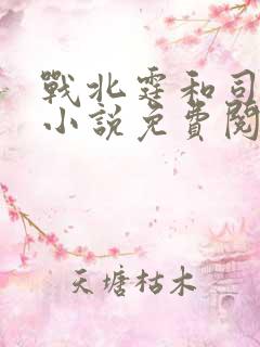 战北霆和司情的小说免费阅读