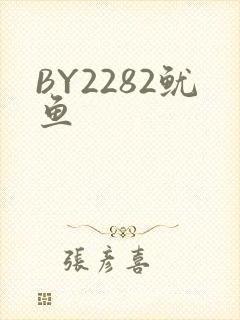 BY2282鱿鱼
