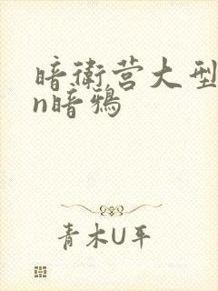 暗卫营大型hpn暗鸦