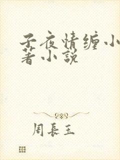 子夜情缠小说原著小说