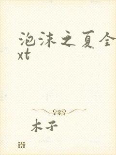 泡沫之夏全集txt