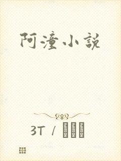 阿潼小说