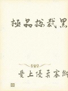 极品总裁黑道妻