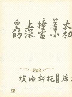 皇上撞着太子妃的深处小初