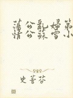 荡公乱妇第1章情公苏雪小说