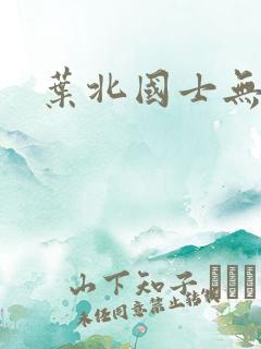叶北国士无双