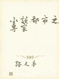 小说都市之军火专家