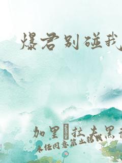 爆君别碰我