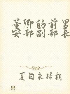 董卿的前男友公安部副部长