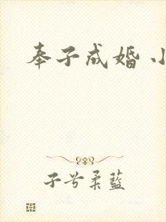 奉子成婚 小说