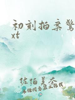 初刻拍案惊奇txt