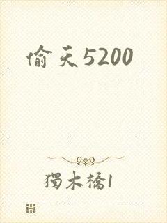 偷天5200