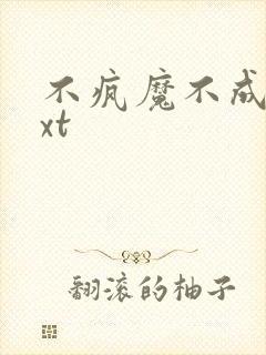 不疯魔不成活txt