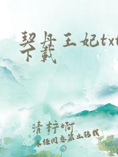 契丹王妃txt下载