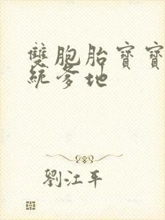 双胞胎宝宝的总统爹地