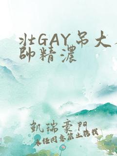 壮GAY吊大人帅精浓