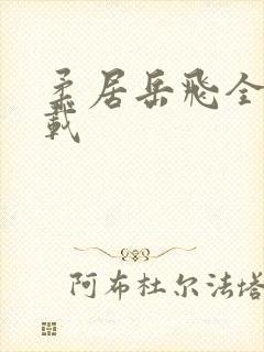 柔居岳飞全传下载