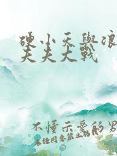 硬小天与浪小辉夫夫大战