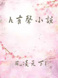 h有声小说