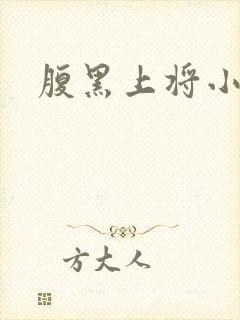 腹黑上将小小妻